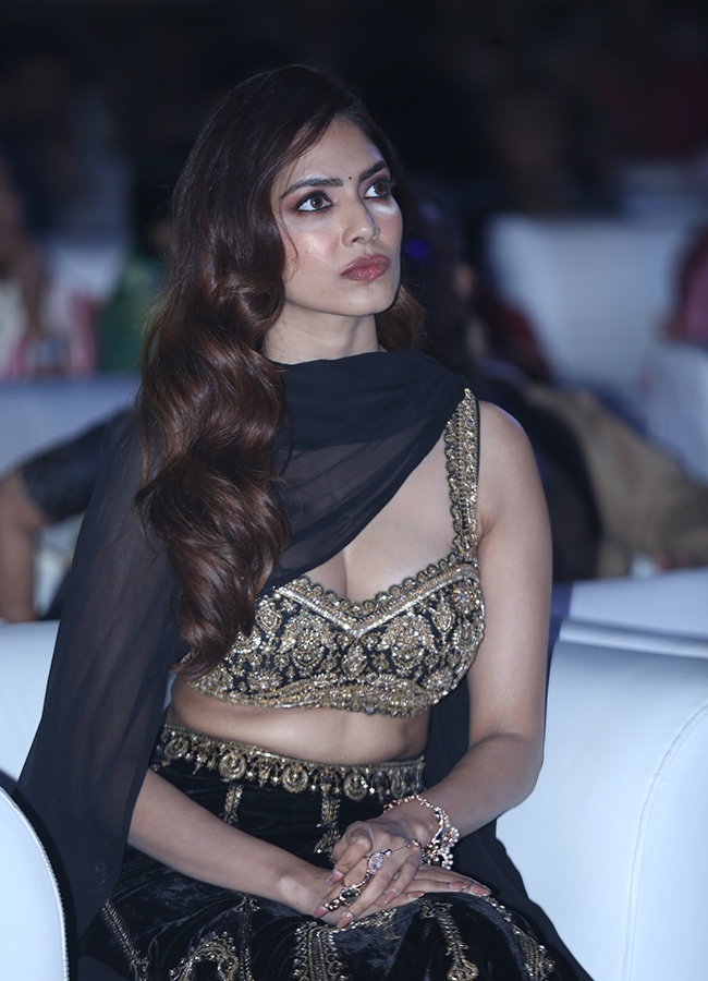 The Raja Saab : Heroines in Riddhi Kumar, Malavika Mohanan Photos21