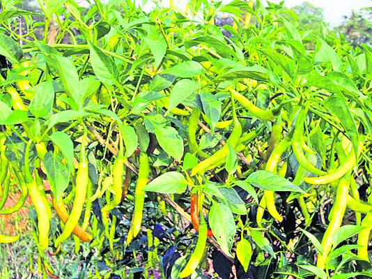 కలిసిరాని కాలం12