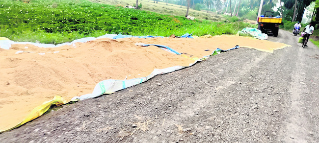 వర్షంతో రైతన్న ఇక్కట్లు 1