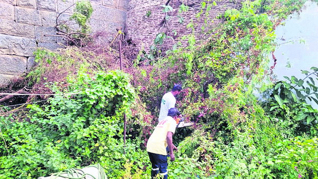 స్థానిక సంస్థల్లో విజయమే లక్ష్యం1