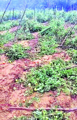 సమస్యలు వినరు.. 1