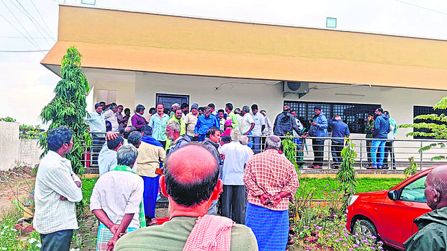 మామిడి వివరాలు.. 
1