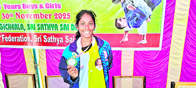 మామిడి వివరాలు.. 
3