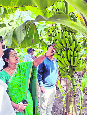 రూ.8.66 లక్షల విలువైన    ఎరువుల విక్రయాల నిలిపివేత 1