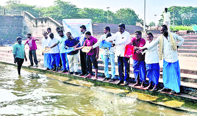 వైరా రిజర్వాయర్‌లో  చేపపిల్లలు విడుదల
3