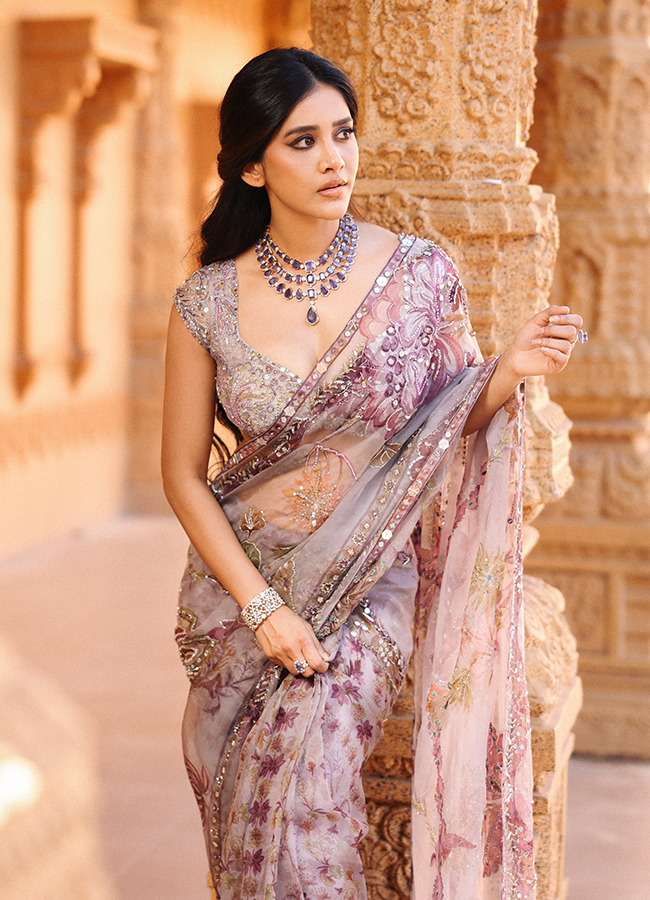 Tollywood Actress Nabha Natesh Latest HD Photos12