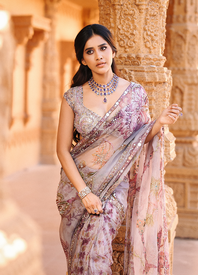 Tollywood Actress Nabha Natesh Latest HD Photos13