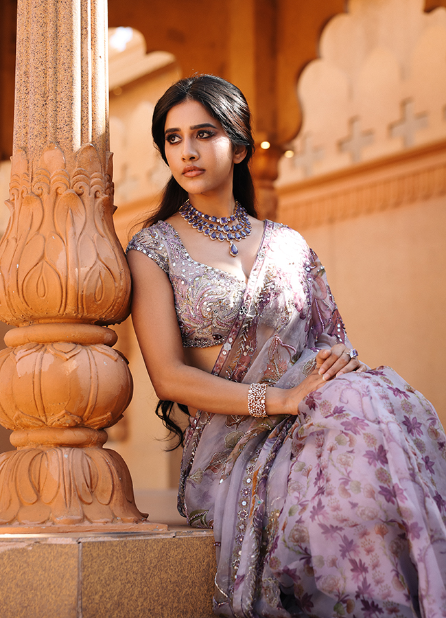 Tollywood Actress Nabha Natesh Latest HD Photos5