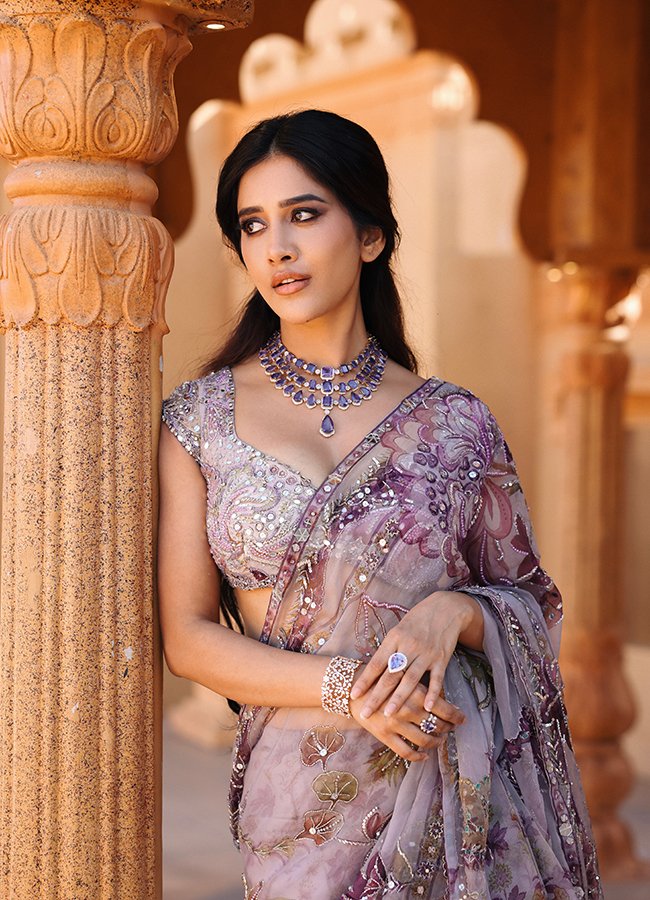 Tollywood Actress Nabha Natesh Latest HD Photos7