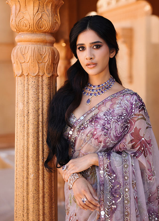 Tollywood Actress Nabha Natesh Latest HD Photos9