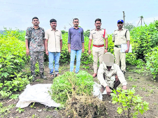 చోరీలు.. సైబర్‌ మోసాలు!2