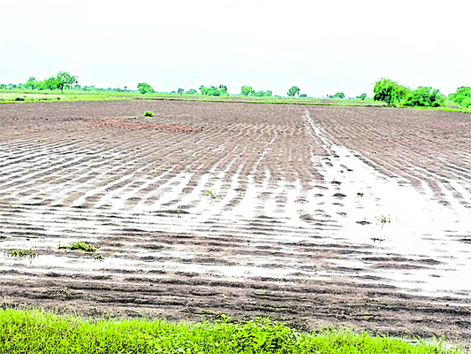 కర్షకులకు కష్ట కాలం..! 1