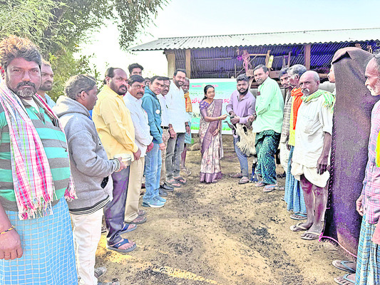 సమస్యలు పరిష్కరించండి2