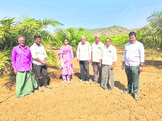 సమస్యలు పరిష్కరించండి1