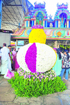 ముక్కోటికి ముస్తాబు 4