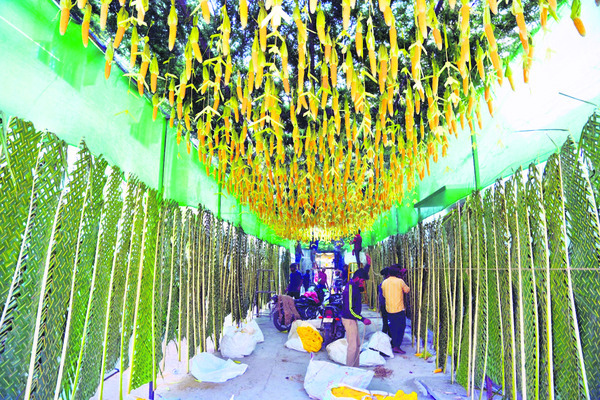 ముక్కోటికి ముస్తాబు 2