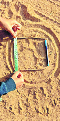 పంట పొలాల్లో పులి పాదముద్రలు1