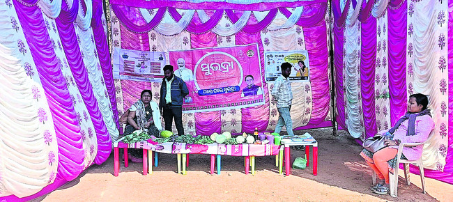 వినతుల వెల్లువ 2