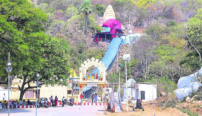 ముక్కోటికి ముస్తాబు1