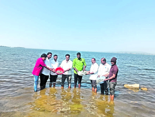 ‘పోచారం’లో  చేపపిల్లల విడుదల 
2