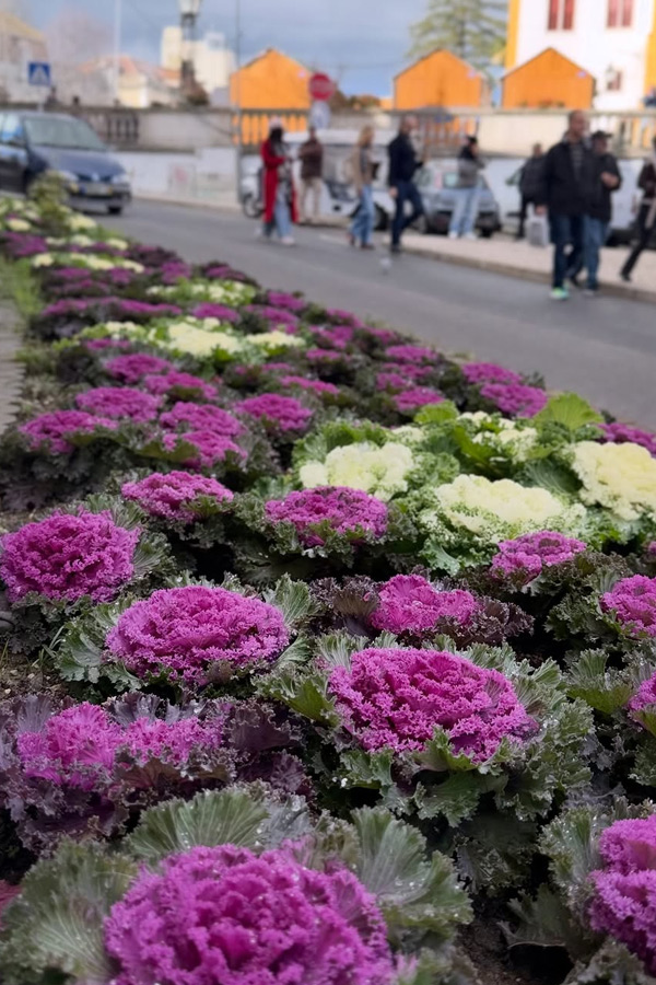 Actress Samantha Ruth Prabhu Shares HoneyMoon pictures17