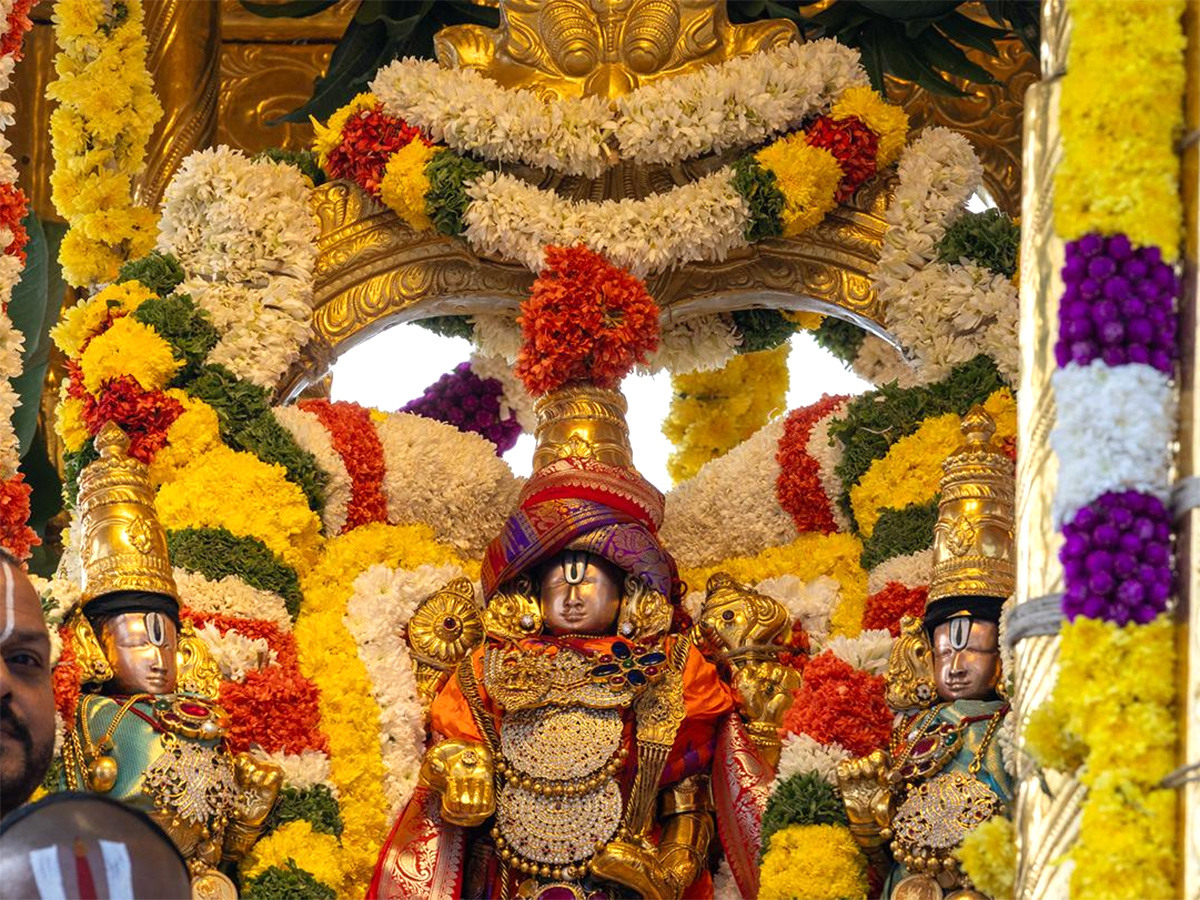 Vaikuntha Ekadashi 2025 : Swarna Ratham Procession At Tirumala5