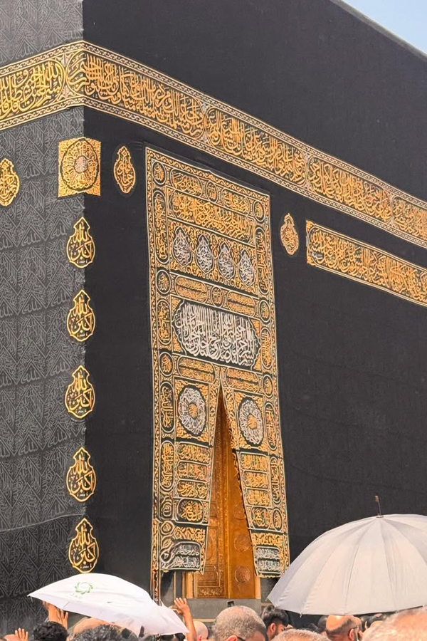 Wedding, shooting... Hebba Patel with memories of This year Photos6