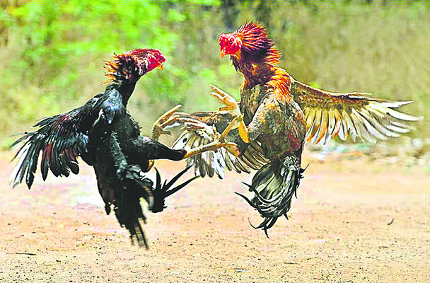 బరి తెగింపు! 1