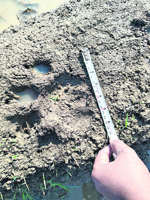 బుధవారం శ్రీ 31 శ్రీ డిసెంబర్‌ శ్రీ 20252