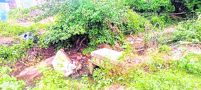 చివరికి నీరందేనా?1