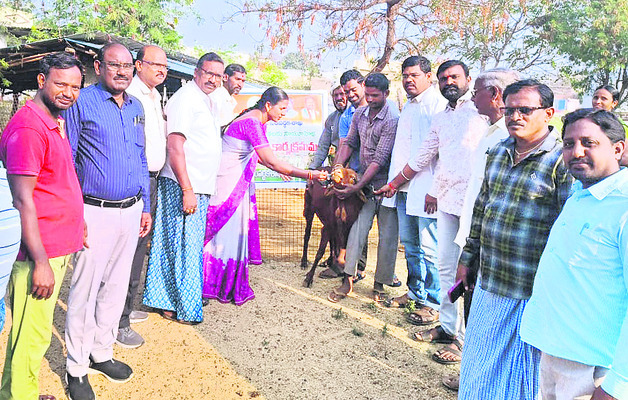 డీపీఓ బదిలీ2