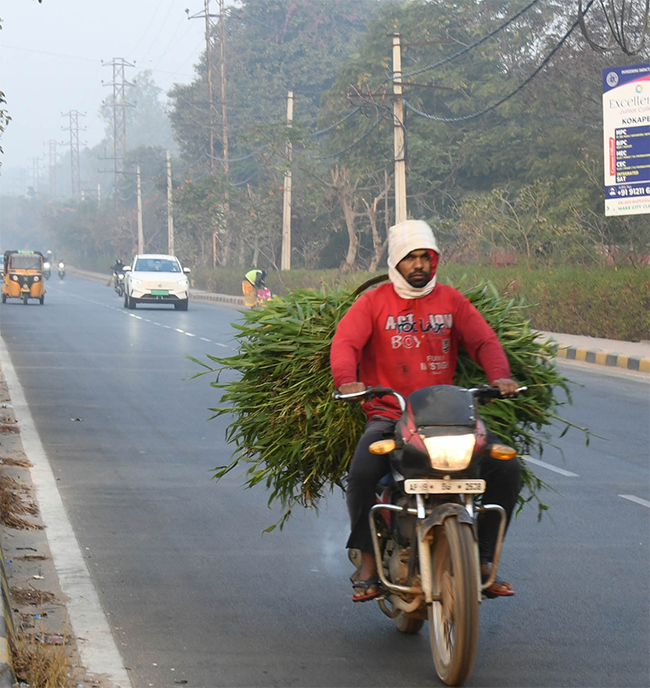 Cold Wave : Dense Fog Envelops Hyderabad Photos9