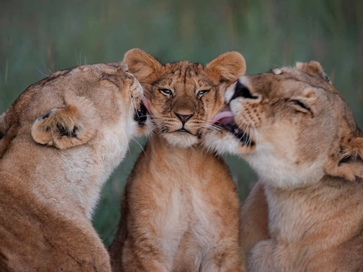 The Unexpected things Happened in 2025 Kiara Advani Memories Photos5