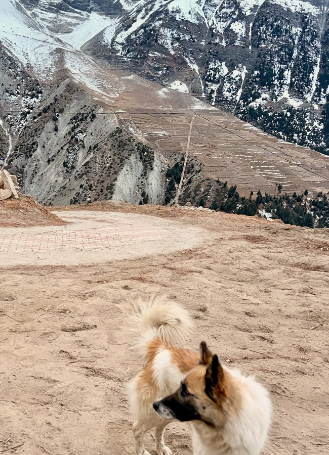 A Tollywood actress samyukthamenon is traveling in the Himalayas (photos).7