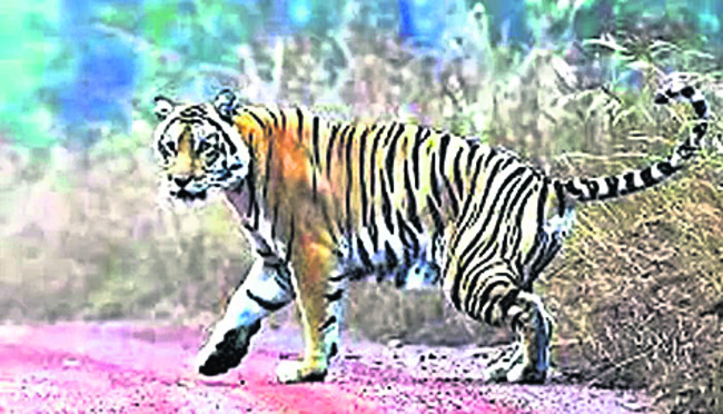 బుధవారం శ్రీ 31 శ్రీ డిసెంబర్‌ శ్రీ 20251