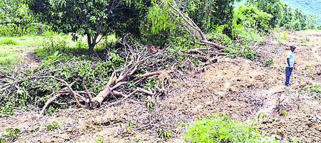 ఎడతెగని చర్చలు2