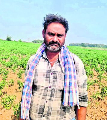 దిగుబడి కష్టమే..
2