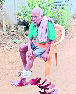 భక్తాంజనేయ గ్రామోత్సవం2