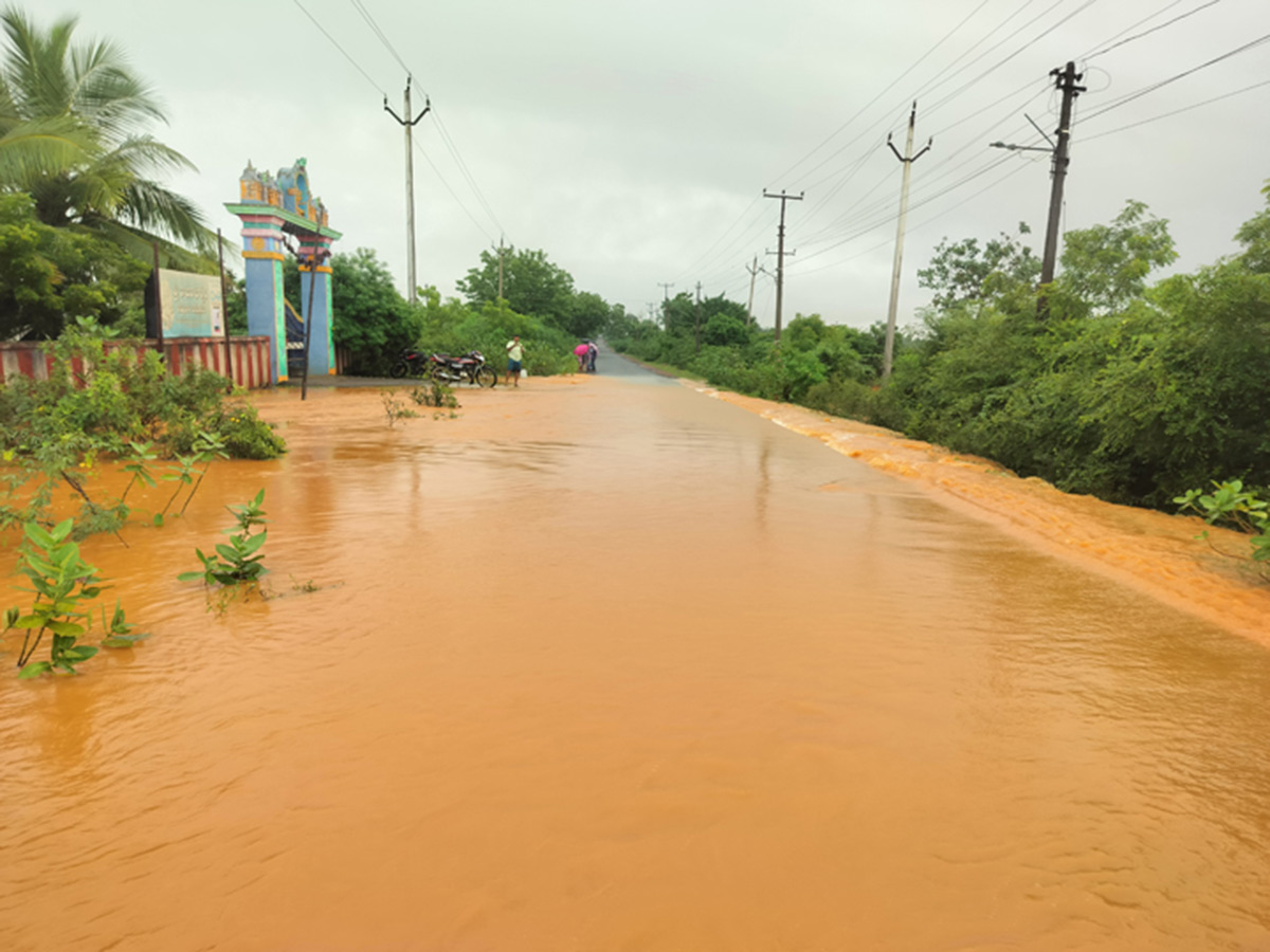 Cyclone Ditwah : Heavy Rains in Nellore Photos28