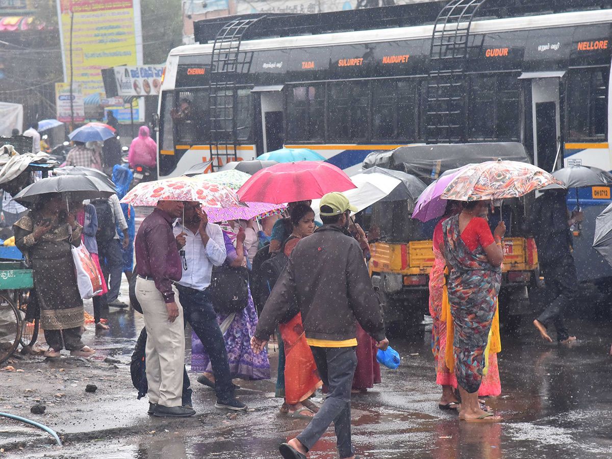 Cyclone Ditwah : Heavy Rains in Nellore Photos5
