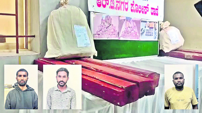 రట్టయిన గంజాయి గుట్టలు 2