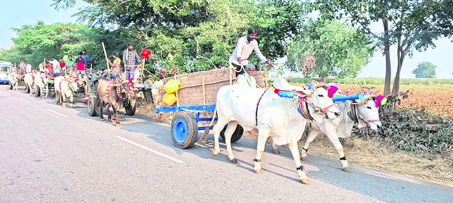 మార్మోగిన గోవిందనామస్మరణ 
2