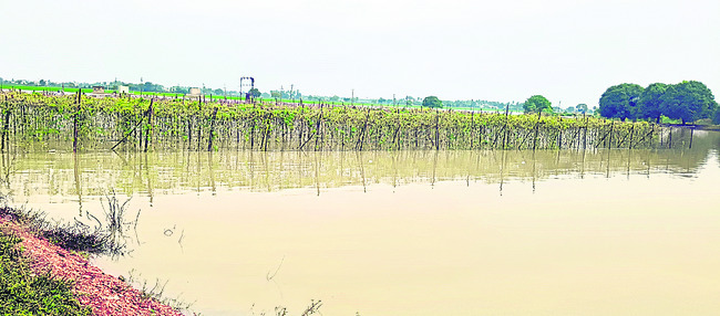 యాప్‌ ఇన్‌స్టాల్‌కే పరిమితం 
2