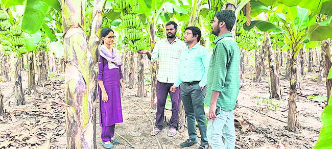 వైభవంగా దత్తజయంతి1