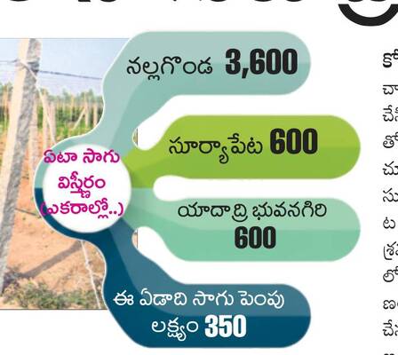 కూరగాయల సాగుకు ప్రోత్సాహం 1