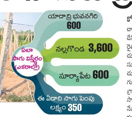 కూరగాయల సాగుకు ప్రోత్సాహం 1