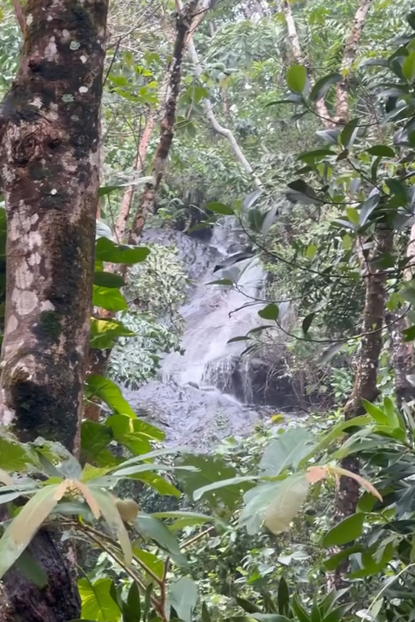 Music Director Keeravani son Hero Simha went on a vacation with His wife Photos11