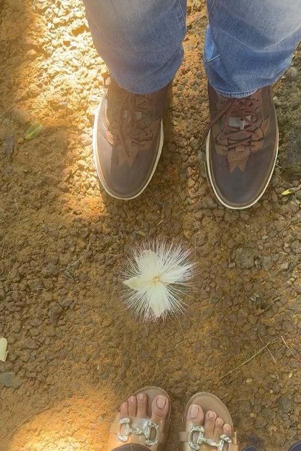 Music Director Keeravani son Hero Simha went on a vacation with His wife Photos9