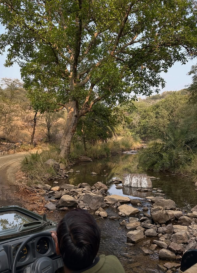 Telugu top actress ritu varma safari trip in Rajasthan (Photos)3