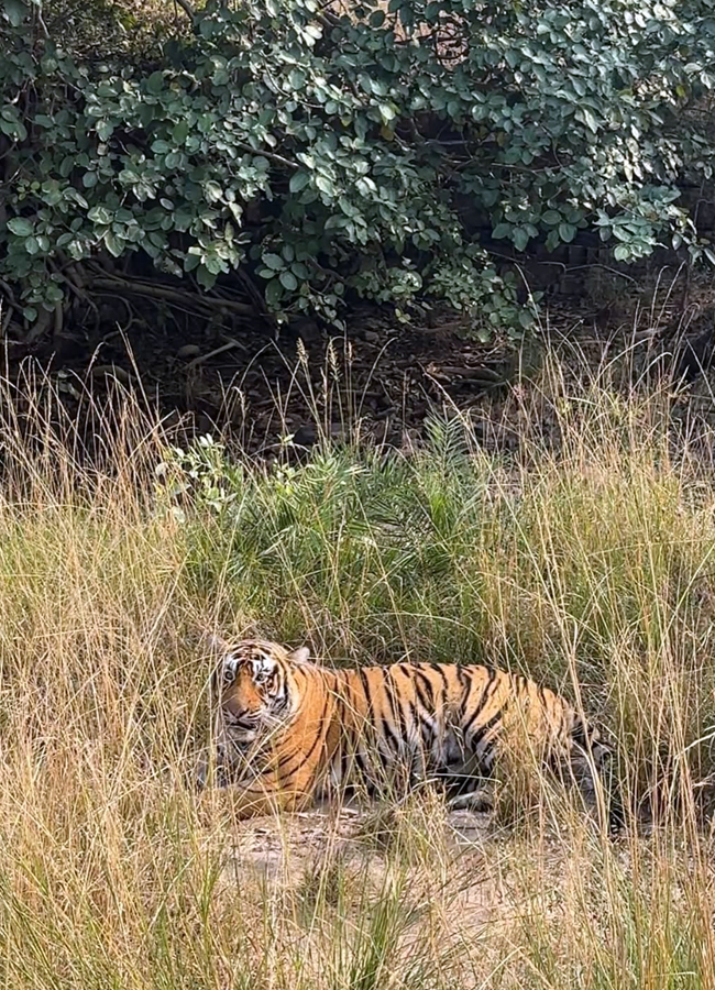 Telugu top actress ritu varma safari trip in Rajasthan (Photos)9